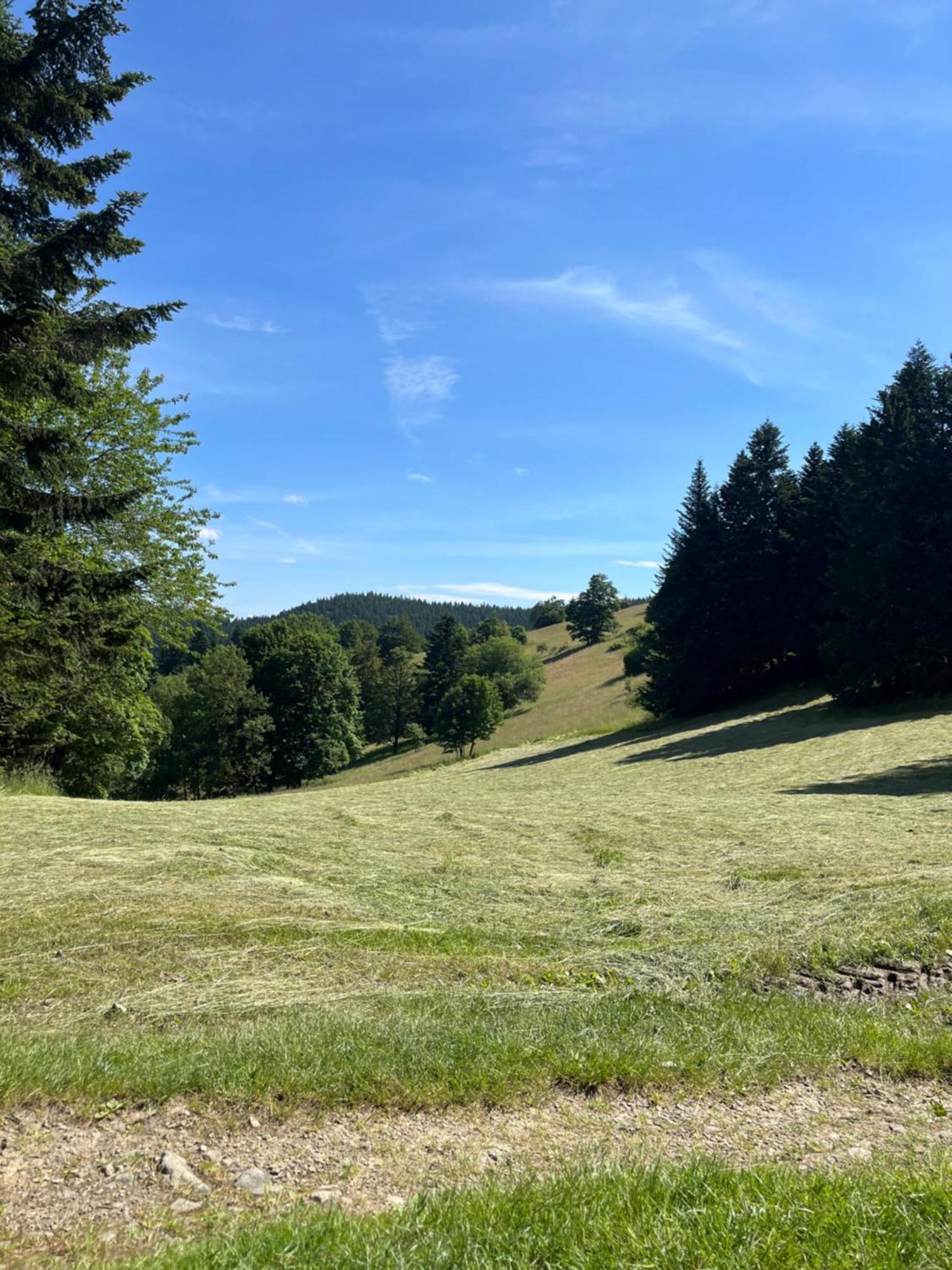 Apartmany La Siska Vsetín Buitenkant foto
